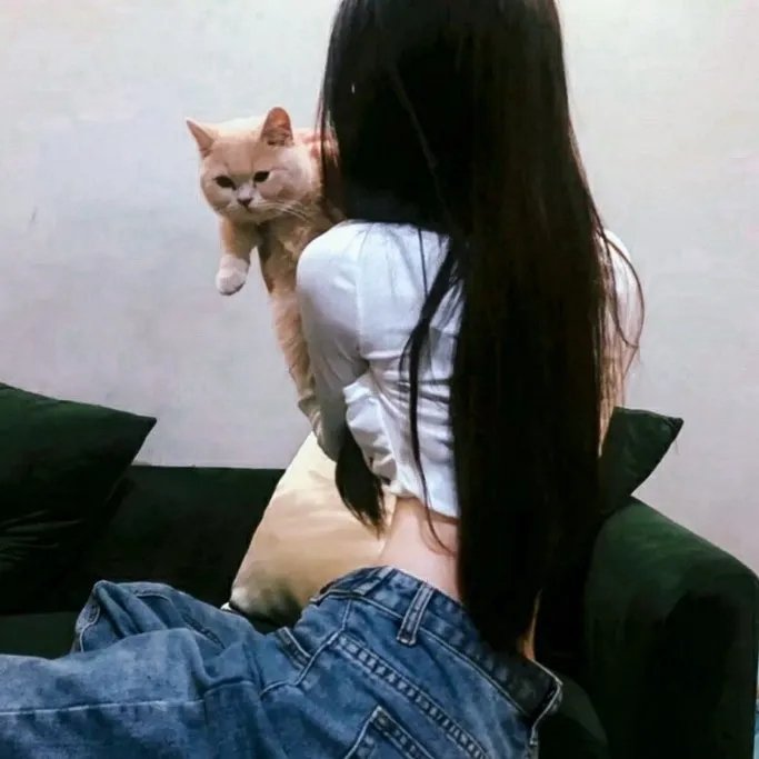 虚伪情网